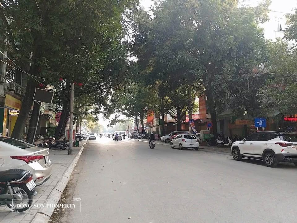 Mặt tiền Hạc Thành kinh doanh hái ra tiền, diện tích khủng