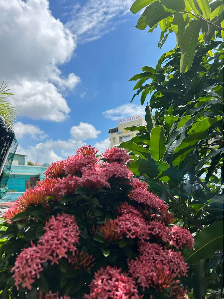 Đất Vũng Tàu siêu xinh, mặt tiền đường 17m, sổ đỏ sẵn sàng