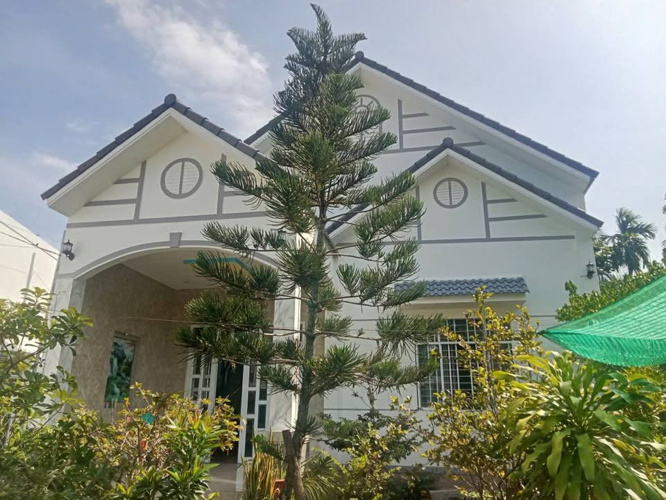 Điền viên Tân Thạch, Bến Tre - Mặt tiền kinh doanh, cuộc sống an nhàn