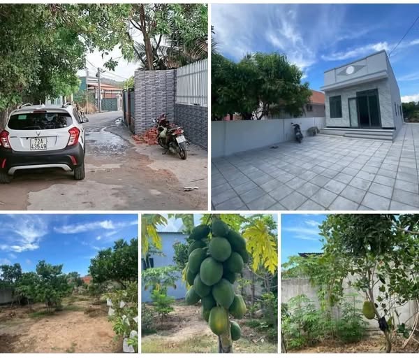 Nhà vườn Long Hải 247m² thổ cư, cây trái trĩu cành, giá hời 4.2 tỷ