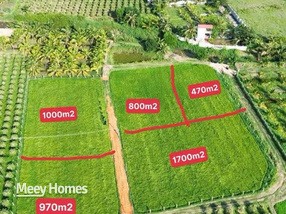 Bán 5,5 sào đất vườn, sổ riêng, gần chợ Bình An, Hàm Chính, Bình Thuận