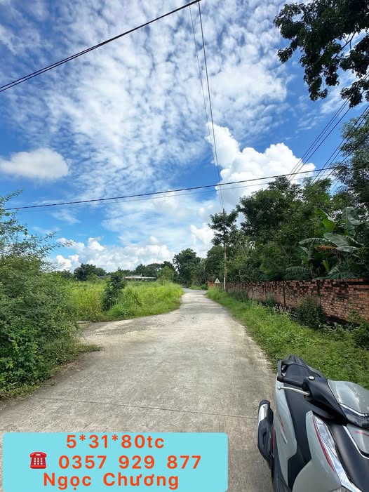 Đất vàng Châu Pha sổ riêng 81m², giá 830 triệu, cơ hội an cư đầu tư