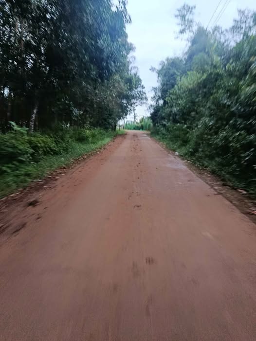 Đất Đắk Nông 2,3ha mặt tiền bê tông, đường xe công, gần dân cư, trường học, giá 4.3 tỷ