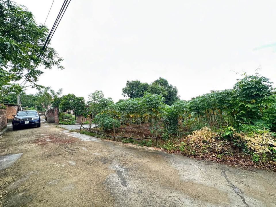 Đất An Hòa Tam Dương - Mặt tiền 7m, giá bèo nhèo chỉ 600 triệu