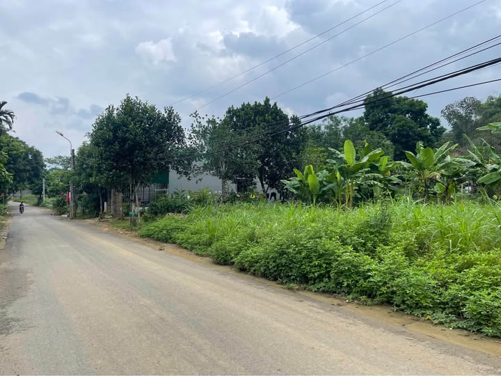 Giao hòa đất trời, đón lộc vào nhà tại phường Thống Nhất, Hòa Bình