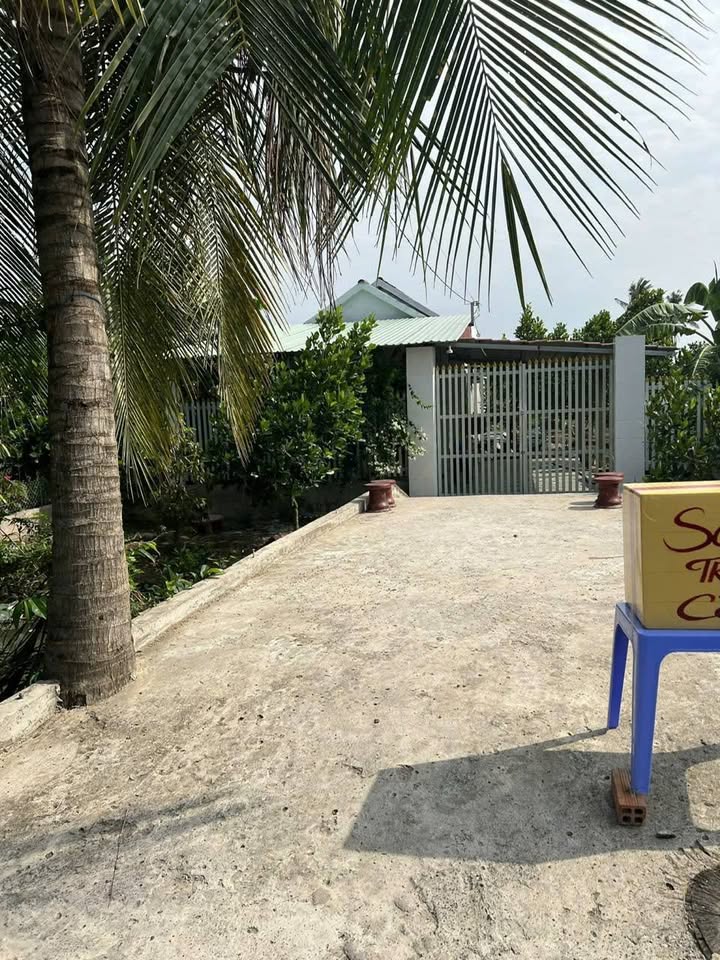 Chốt kèo nhà vườn mặt tiền đường nhựa giá siêu hời tại Chợ Gạo