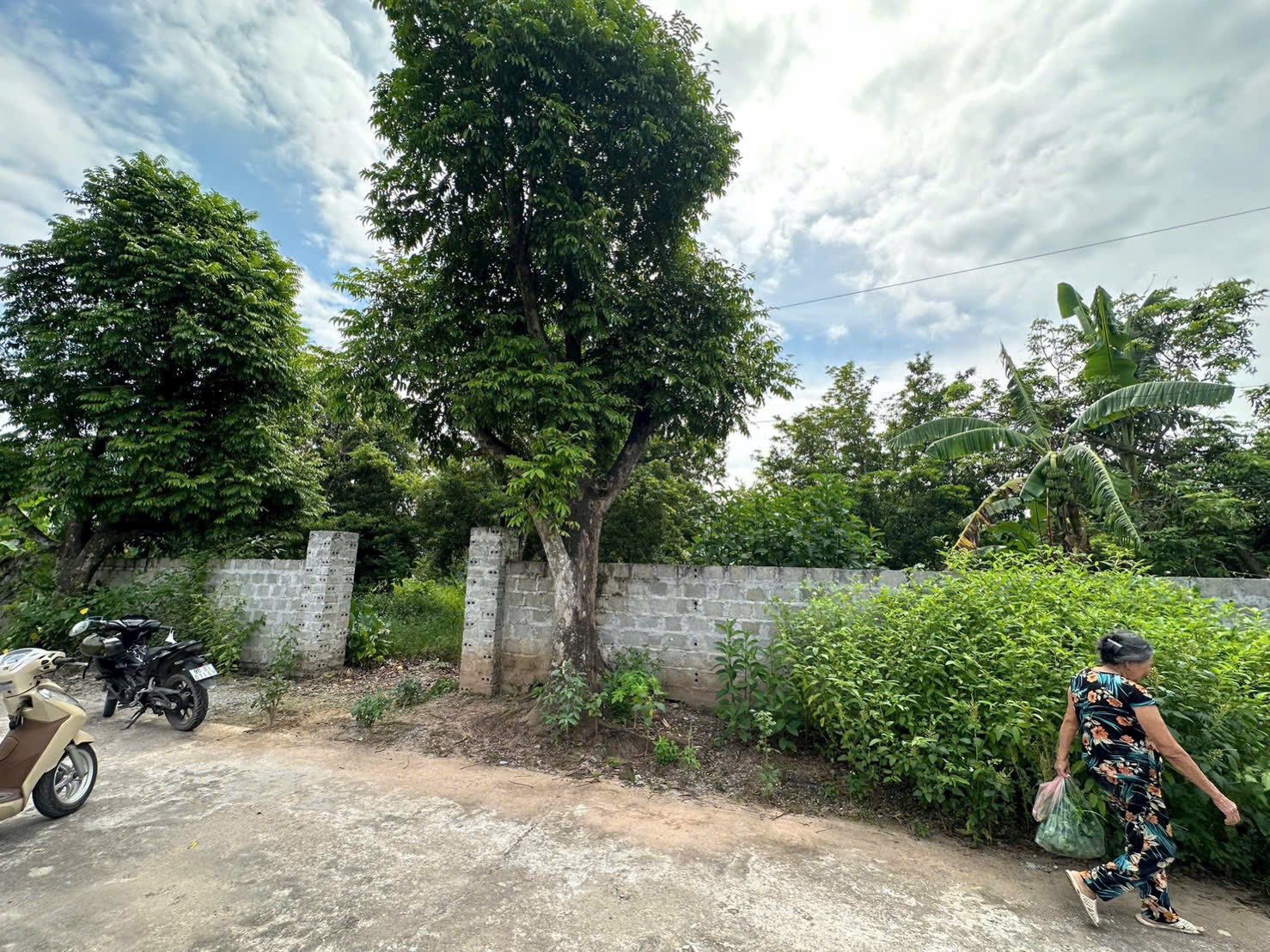 Đất vàng Bình Lục 1345m2 mặt tiền 37m, đường ô tô, xây biệt thự nghỉ dưỡng