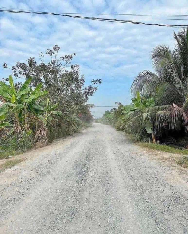 Bán đất mặt tiền đường Nguyễn Văn Cương, Tân An, Long An, diện tích hơn 2000m2