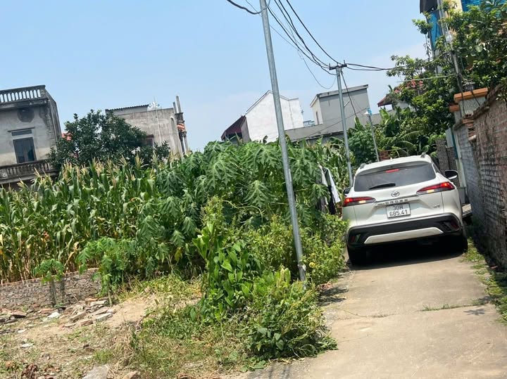 Bán đất 71.4m2 tại Song Liễu, Thuận Thành, Bắc Ninh, đường ô tô vào tận nơi, giá 1 tỷ