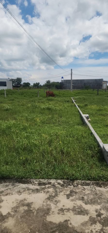 Bán đất nền 100m2 tại An Phú Nam, Hàm Hiệp, Bình Thuận - Giá tốt