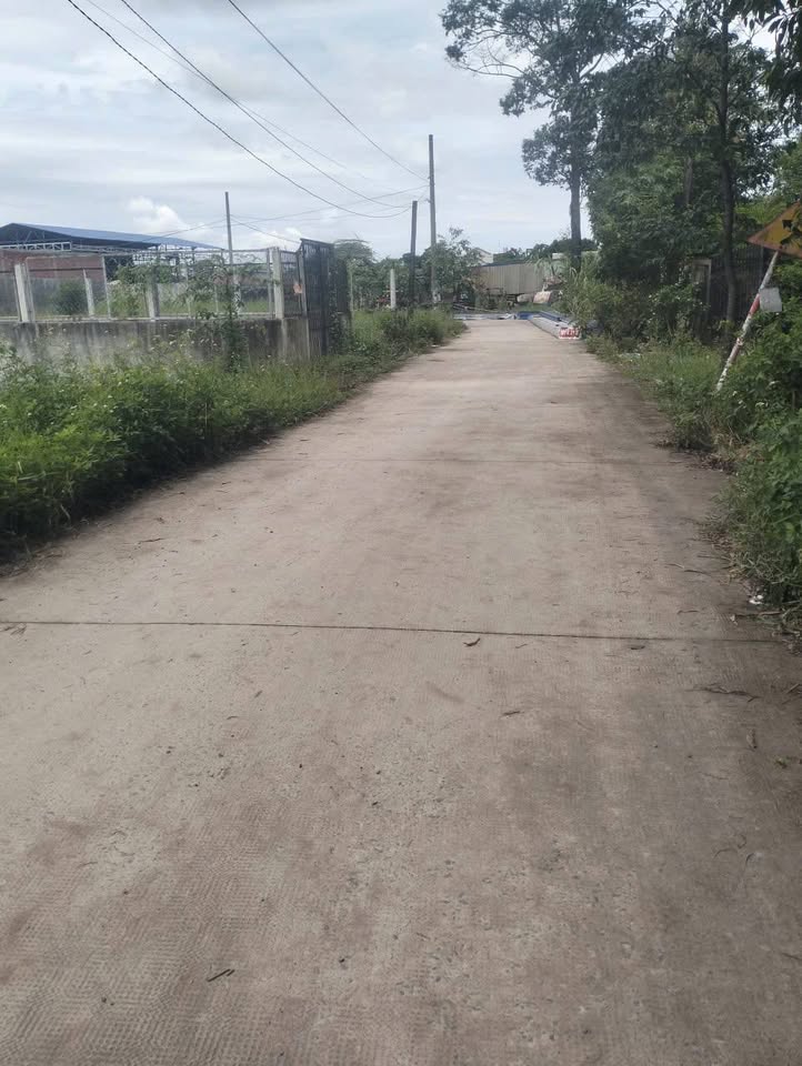 Đất vàng Đức Hòa mặt tiền bê tông, thổ cư sổ hồng, 1,15 tỷ