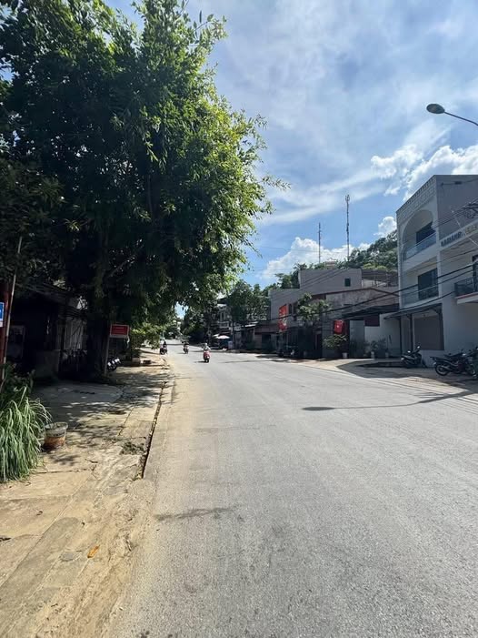 Đất vàng mặt đường 20/8 tặng nhà cứng cáp, kinh doanh bạt ngàn