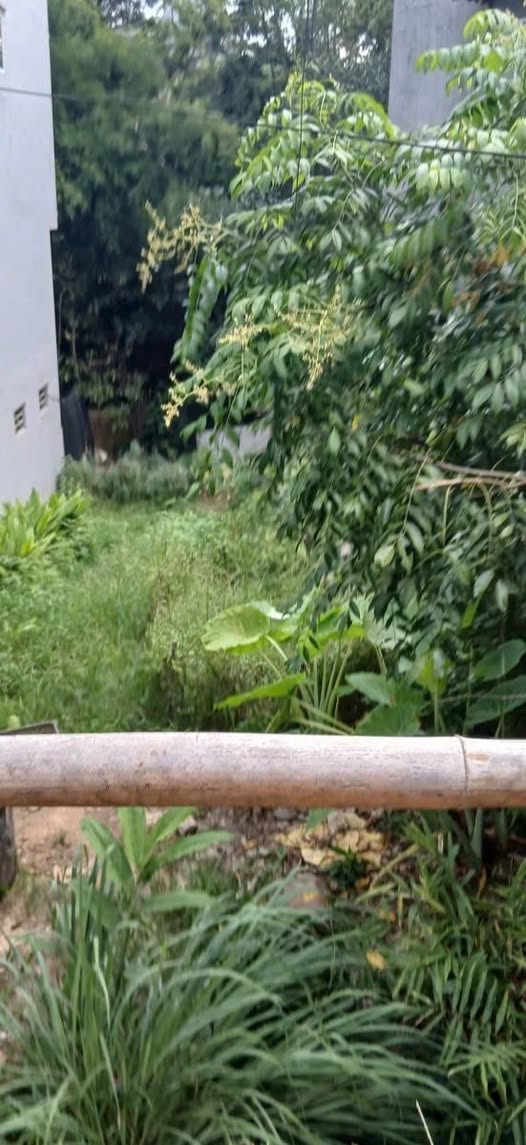 Đất Hòa Chung 118m2, mặt tiền 5m nở hậu, ô tô đỗ cửa, giá hời như mơ