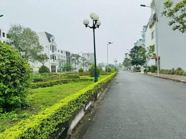 Đất Kỳ Đồng, Thái Bình 90m2, mặt tiền 5m, hướng Đông Bắc - Chốt nhanh 3 tỷ