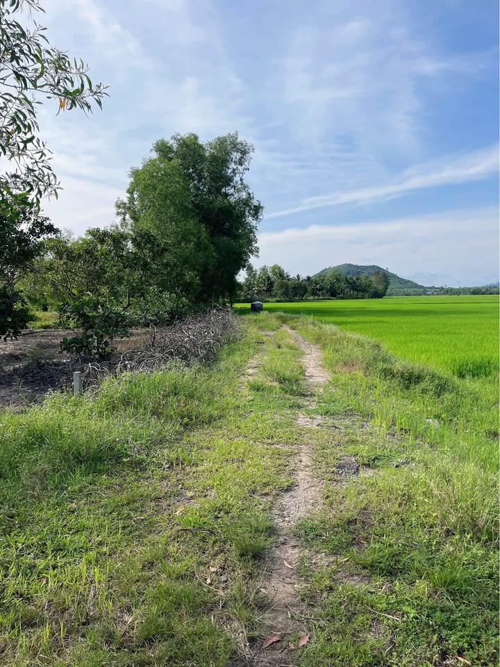 Đất Vàng Đồng Nai - 7.7x30m, sổ riêng, giá hời 390 triệu