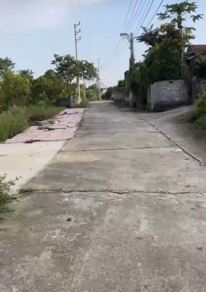 Bán đất 262m2 Việt Yên, Bắc Giang, mặt tiền rộng, đường thông thoáng