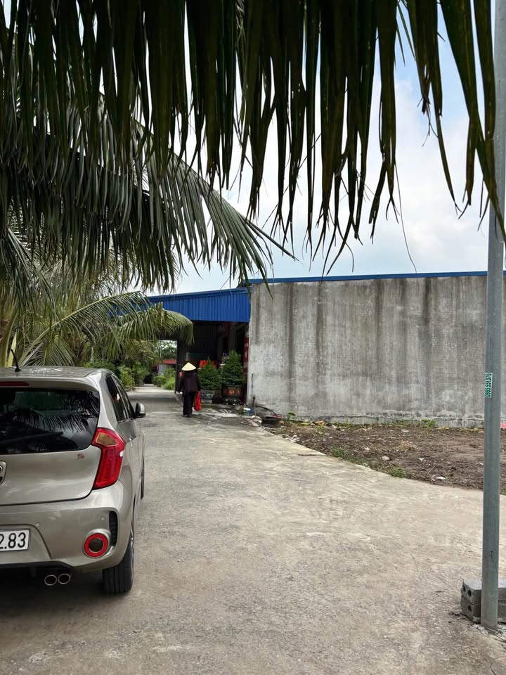 Đất vàng Đồ Sơn - Lô góc Quyết Tiến, Hợp Đức, diện tích 300m2, giá chỉ 4,5 tỷ