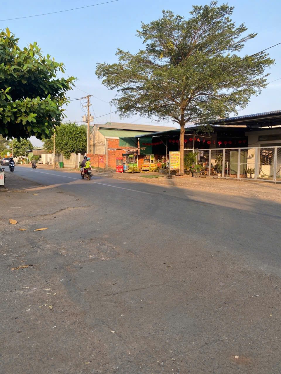 Đất Cẩm Mỹ 790 triệu, mặt tiền nhựa 6x50m, sổ riêng, kinh doanh vô tư