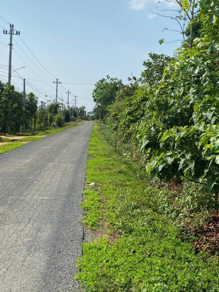 Bán đất thổ cư hai mặt tiền tại Đắk Lắk