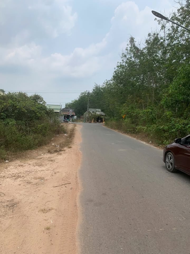 Đất vàng trung tâm Dầu Tiếng, mặt tiền đường nhựa, đầu tư sinh lời