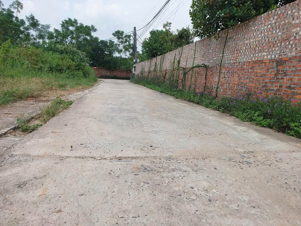 Bán đất thổ cư 101m² vuông vắn, đường 2 ô tô tránh tại Tam Dương, Vĩnh Phúc