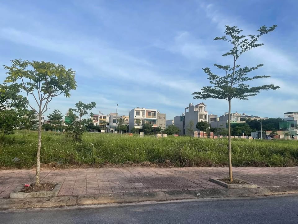 Đất Vũ Thư - Lô biệt thự 218.5m², mặt tiền 11.5m - Giá hời chỉ 3,5 tỷ