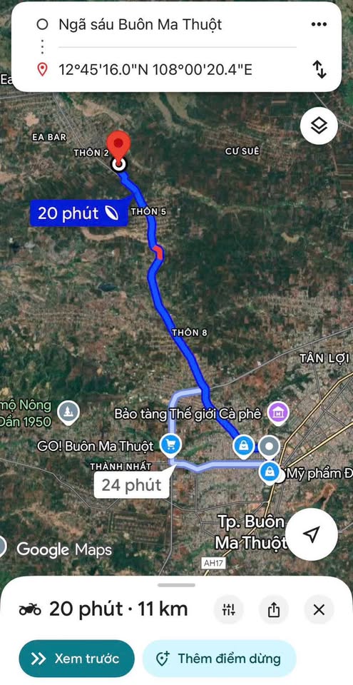 Bán đất nông nghiệp 5600m² tại Buôn Đôn, Đắk Lắk - Có sẵn tiêu cà phê thu hoạch