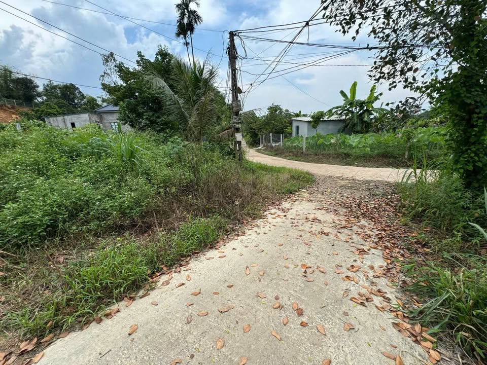 Đất Ba Vì 700m2 view đồng, ô tô đỗ cửa, 1 tỷ chốt ngay