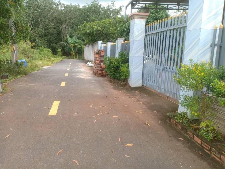 Đất thổ cư Phước Tân, Hồ Tràm, cơ hội an cư lạc nghiệp chỉ với 800 triệu