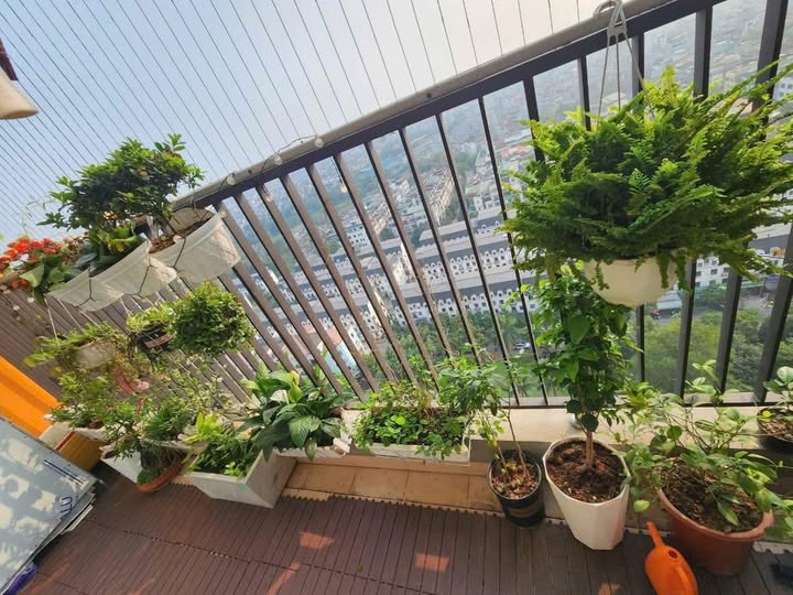 Chung cư The K Park, căn hộ 68m2, 2 ngủ, tầng trung, hướng mát - Chỉ còn 1 căn duy nhất