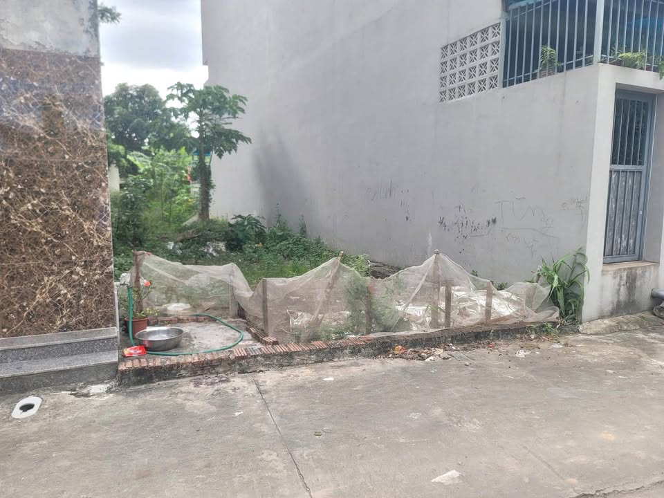 Đất Quang Minh, Mê Linh - Khuôn thửa hoa hậu, giá nhỉnh 3 tỷ