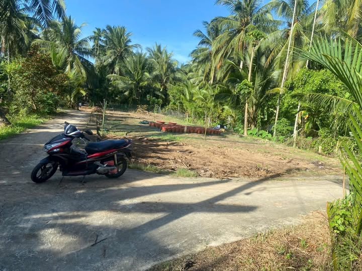 Đất Vĩnh Long - Nền cao ráo, sạch đẹp, giá hời cho nhà đầu tư