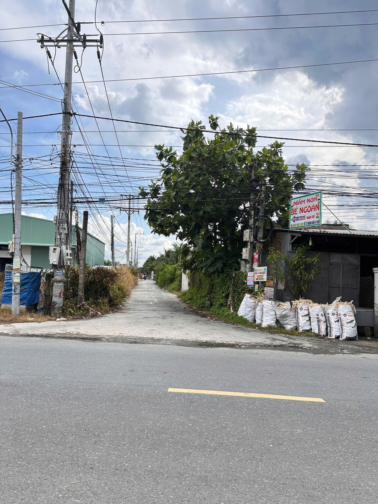 Đất mặt tiền đường DX01, Giao Long, Bến Tre - 245.6m2 thổ cư