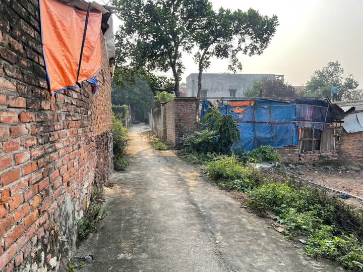 Đất Vàng Ngô Xá - Ô tô vào tận cửa, giá chỉ 1 tỷ