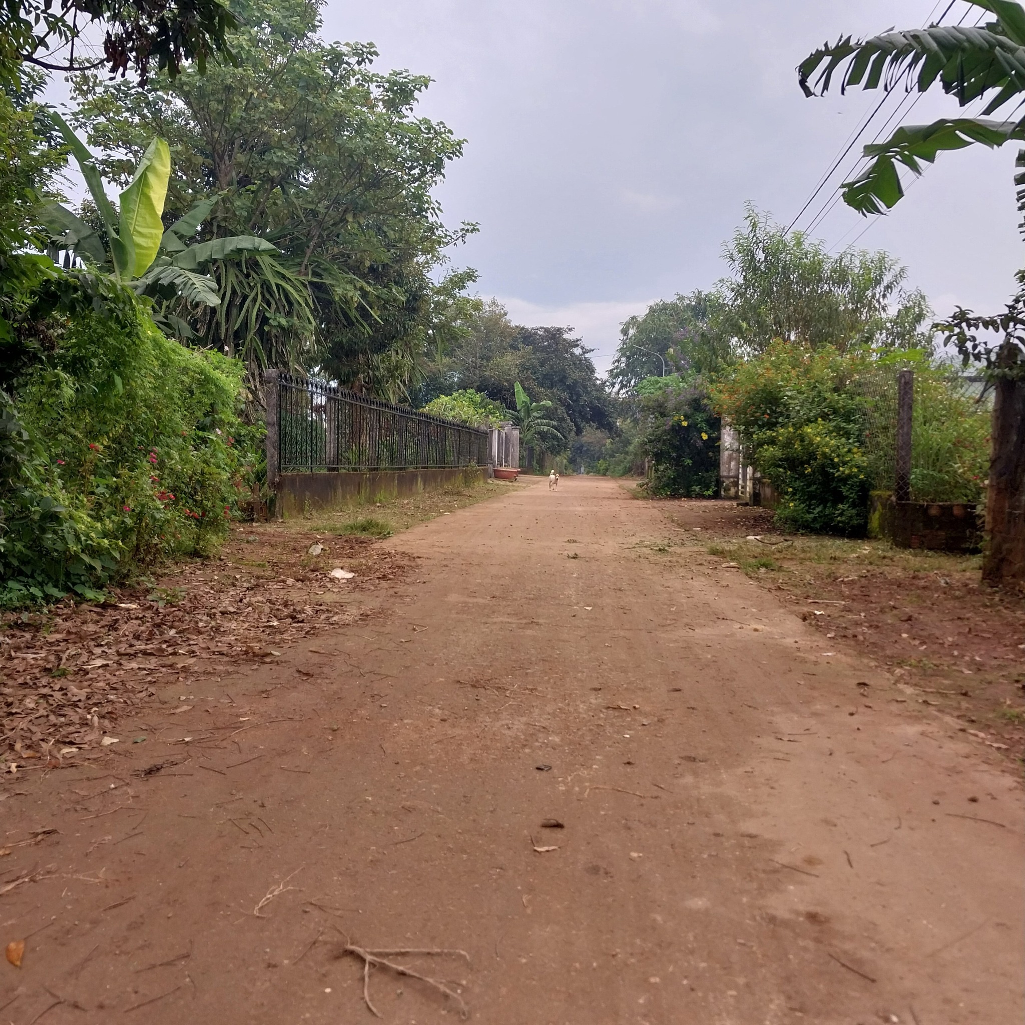 Đất vàng Tôn Đức Thắng - Nơi an cư lý tưởng