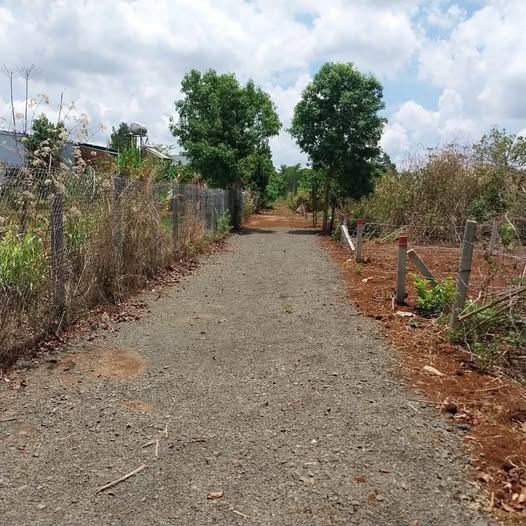 Đất thổ cư nở hậu tại hẻm 332 Tôn Đức Thắng, Biển Hồ, Gia Lai