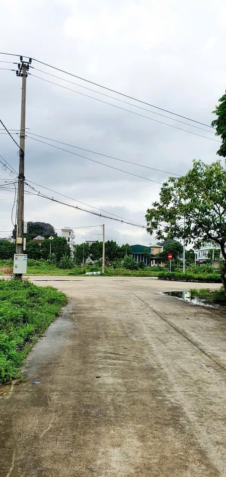 Đất vàng Ninh Bình 120m2 mặt tiền 6m, giáp mặt đường Lê Thái Tổ, đầu tư hay an cư đều tuyệt