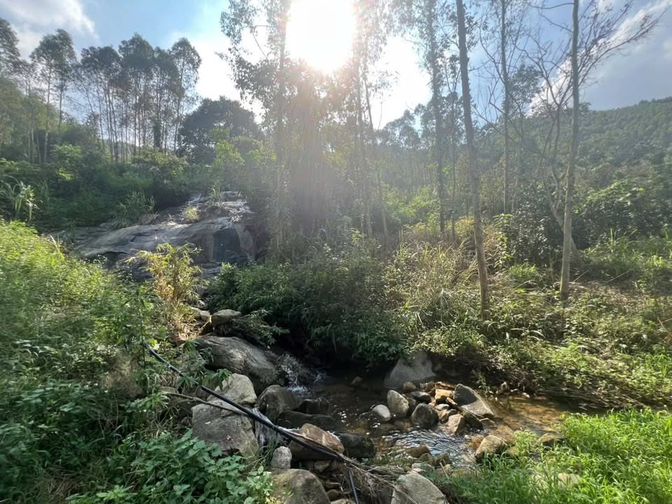 Bán hơn 2100m² đất đẹp có nhà và trang trại tại Tuân Lộ, Sơn Dương, Tuyên Quang