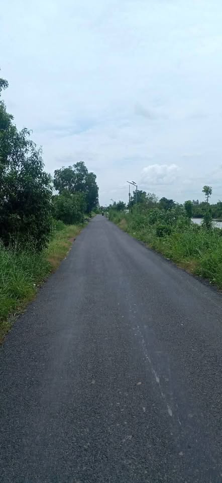 Bán đất vườn rộng 8500m2 mặt tiền đường xe ba gác tại Tân Thành, Long An - Giá tốt