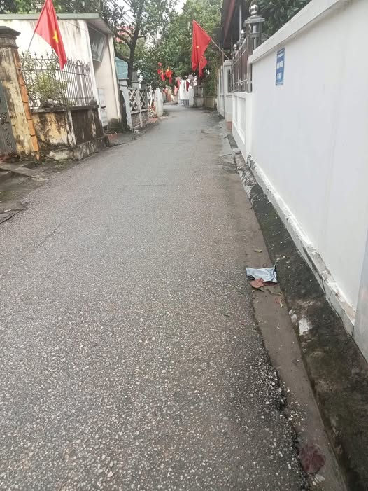 Đất vàng Giang Biên - Ô tô đỗ cửa, tiềm năng sinh lời cực khủng