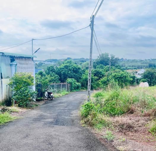 Đất Tân Bình, Bình Phước - Diện tích khủng, giá hời, đường thông thoáng