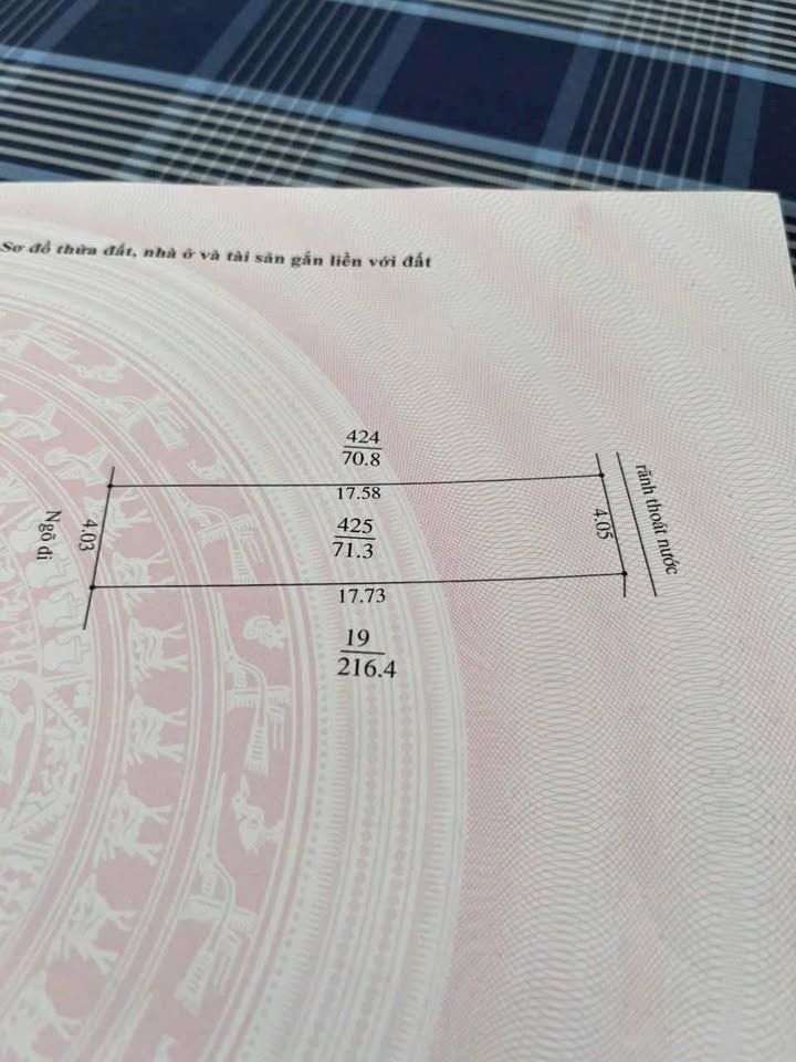 Đất vàng tặng nhà cấp 4, ô tô vào tận nơi, Lê Thanh Nghị, Hải Dương - Giá hời