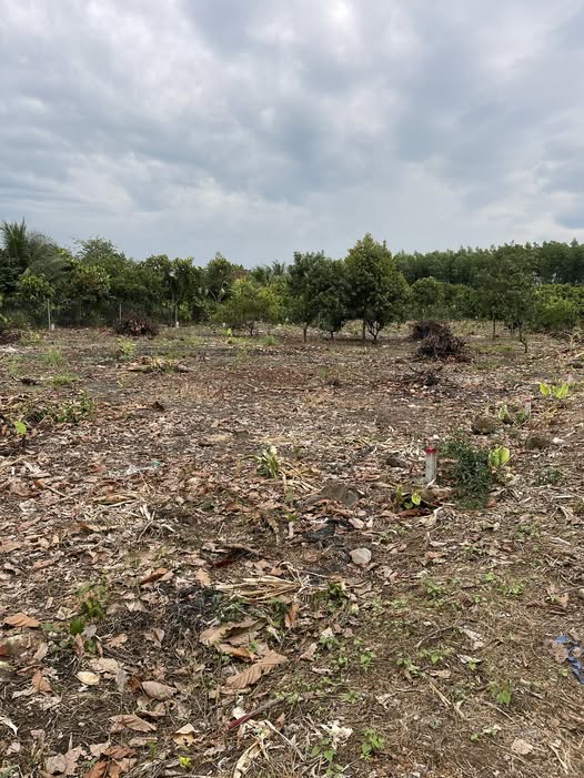 Bán đất full thổ cư mặt tiền bê tông phường Bình Lộc, Long Khánh