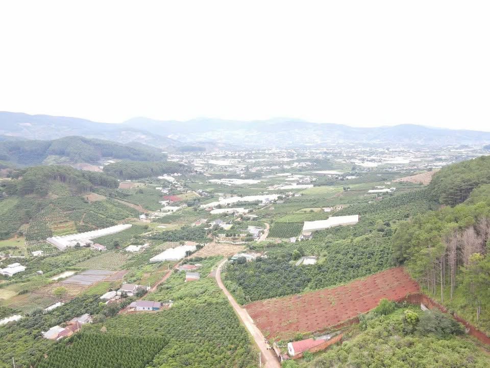 Bán đất nền 576m2 mặt tiền rộng, lưng tựa đồi thông tại Mê Linh, Đà Lạt