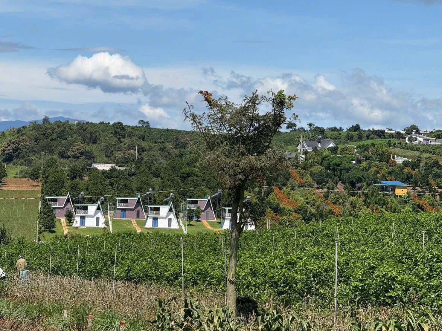 Đất nghỉ dưỡng ven Đà Lạt, Lâm Hà - Giá chỉ 499 triệu/lô