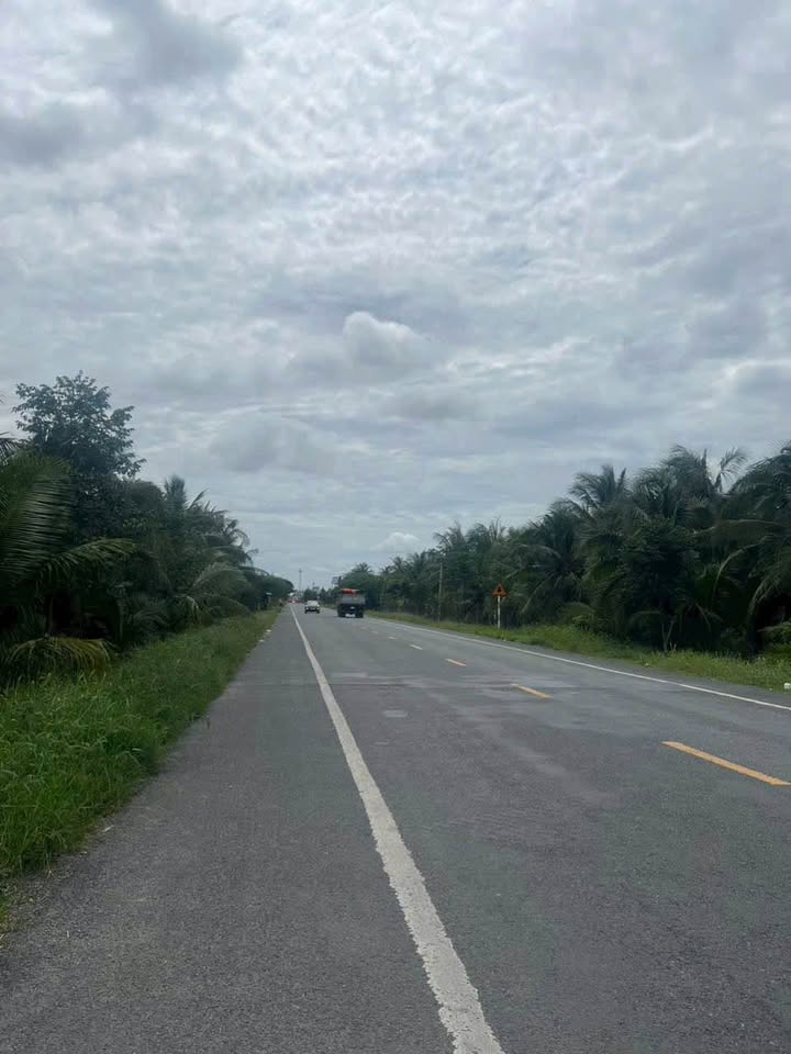 Bán đất mặt tiền Tỉnh lộ 883, Bến Tre - 991m2, ngang 41m, giá 5.5 tỷ