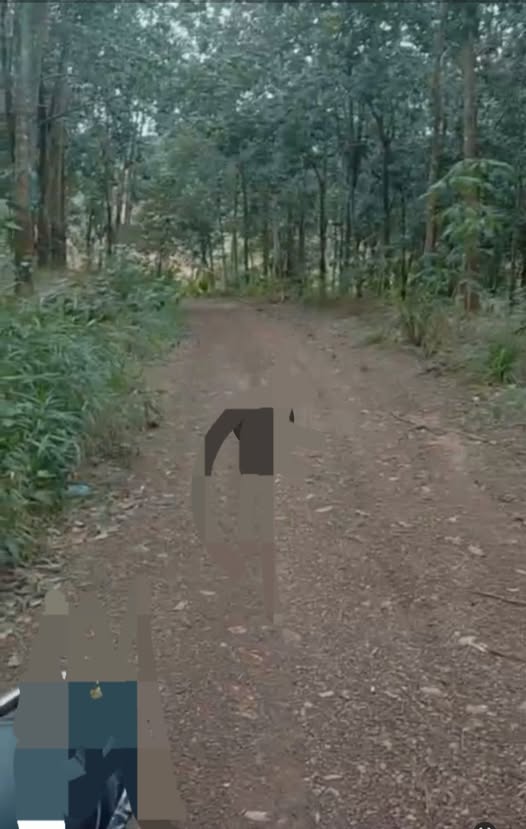 Bán 2.3 hecta cao su Đức Liễu, Bình Phước - Giá tốt