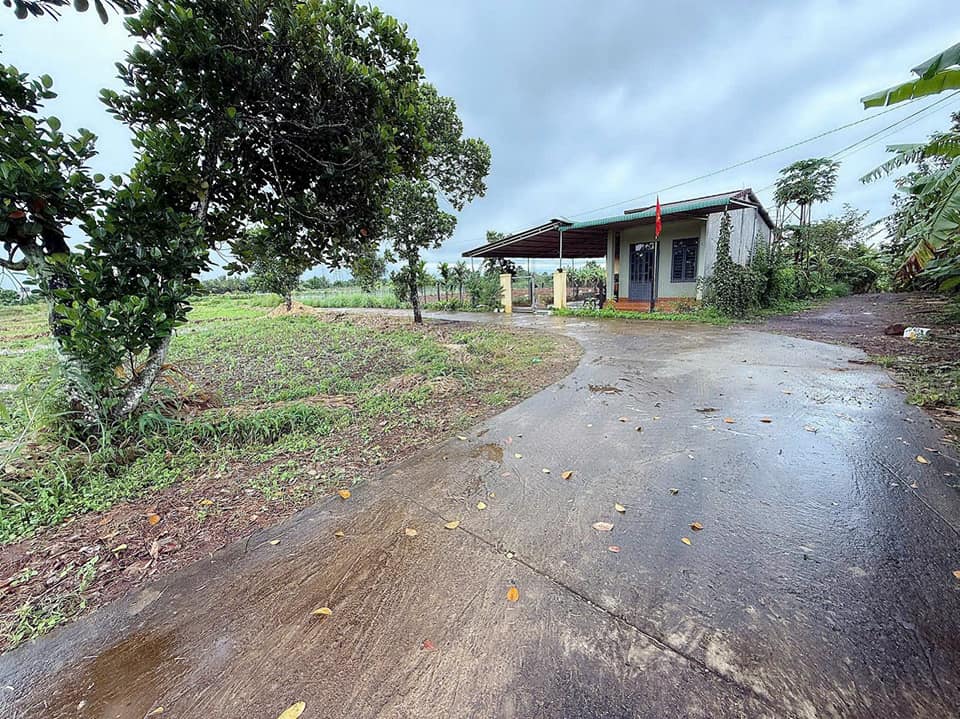 Đất vườn Thành Nhất 15x36m, thổ cư 120m2, giá hời 1.5 tỷ