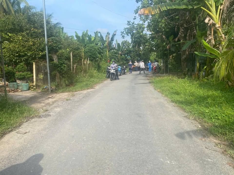 Đất vàng Bến Tre 1.300m2 mặt tiền rộng, gần cầu Rạch Miễu 2, sổ đỏ riêng