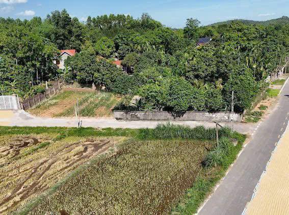 Bán đất thổ cư 100m2 mặt tiền Tỉnh lộ 307, Sông Lô, Vĩnh Phúc